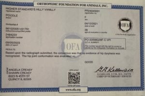 OFA health testing results for Higher Standard Poodles breeding dogs